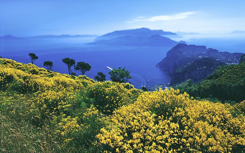 Passetiello | Capri | Holiday